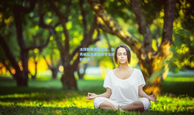 冰球联赛激战正酣,新秀崛起与老将传奇交织的赛季
