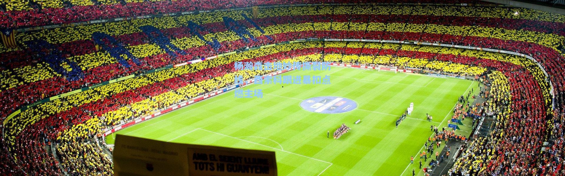 杨瀚森击地妙传撕裂防线，西索科跟进暴扣点燃主场