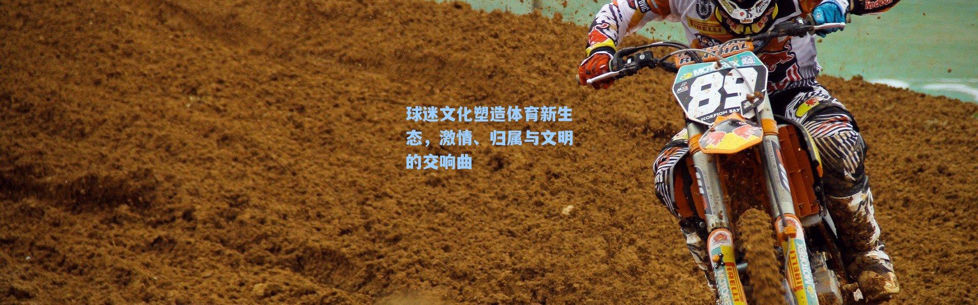 球迷文化塑造体育新生态，激情、归属与文明的交响曲