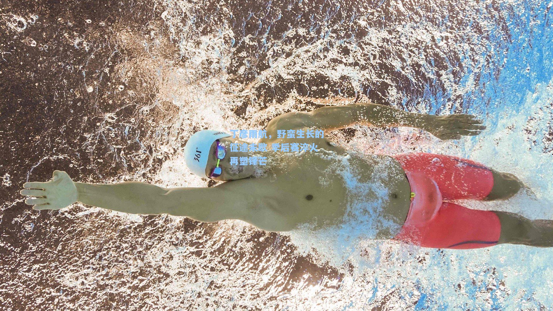 丁彦雨航，野蛮生长的征途未歇 季后赛淬火再塑锋芒